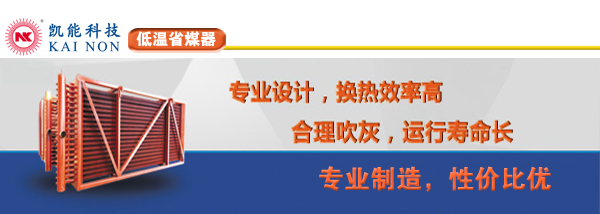 電站鍋爐低低溫省煤器制造廠(chǎng)家