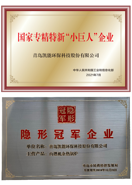 專精特新“小巨人”企業(yè)、隱形冠軍企業(yè)
